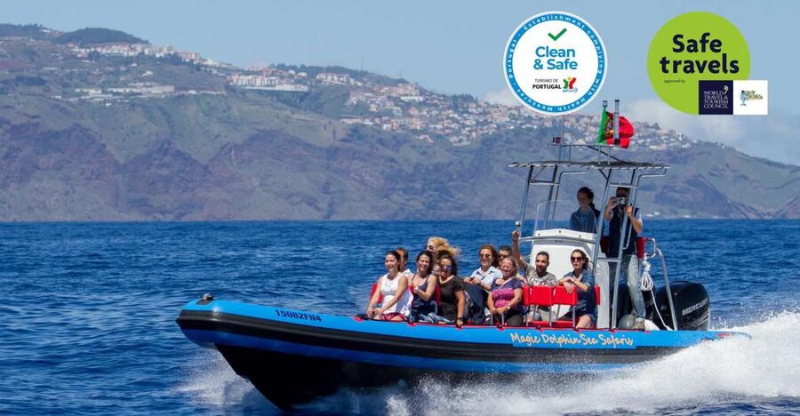 Funchal: Dolphin and Whale Watching Cruise - Why this Funchal whale-watching trip works