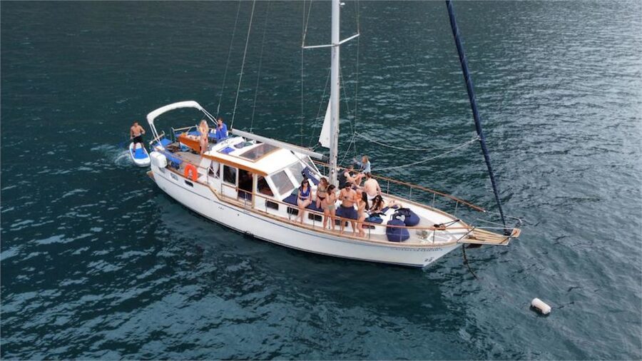 Funchal: Dolphin and Whale Watching Sailing Trip - Cabo Girão and the Atlantic swim stop