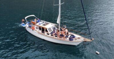 Dolphin and Whale Watching Sailing Trip