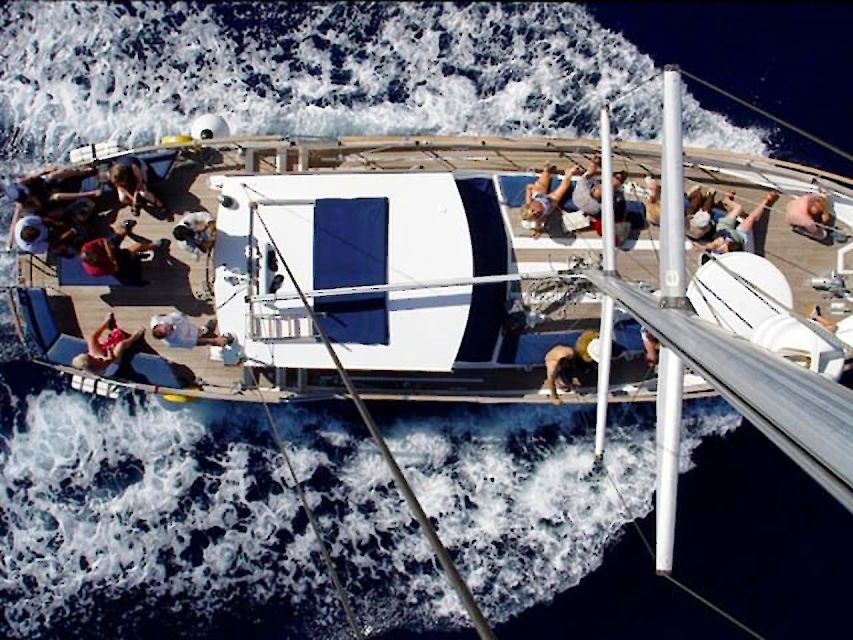 Funchal: Dolphin and Whale Watching Sailing Trip - The value of $47 per person