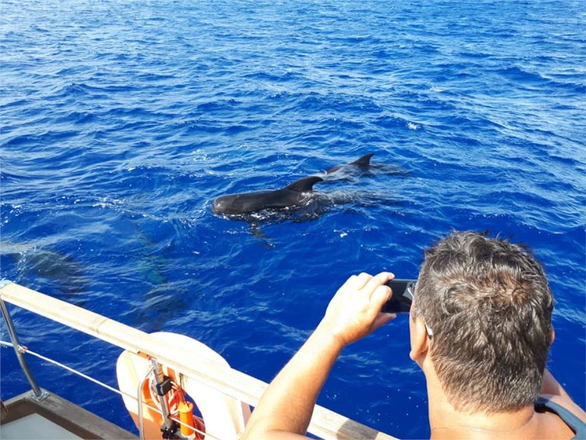 Funchal: Dolphin and Whale Watching Sailing Trip - What to pack for the yacht