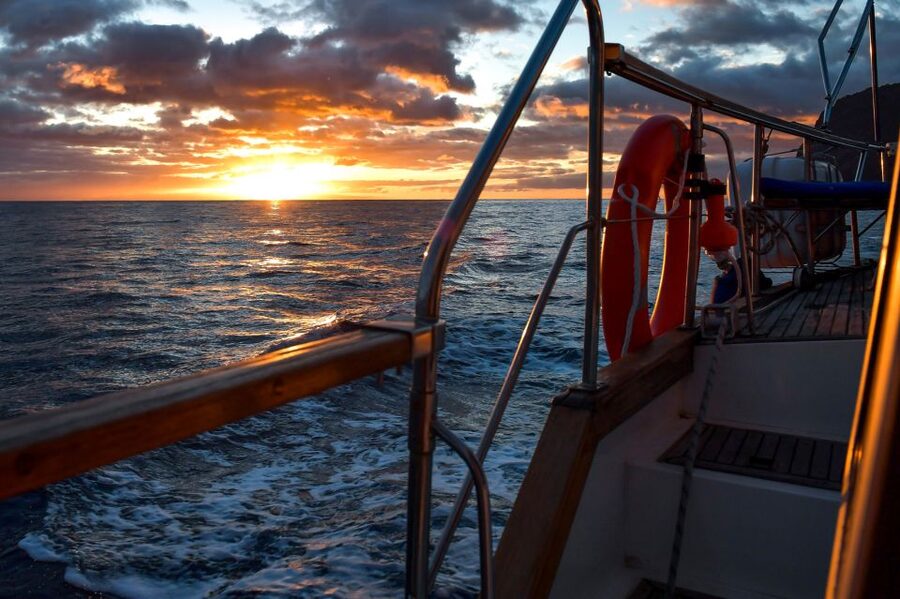 Funchal: Dolphin and Whale Watching Sunset Sailing Tour - Key points to know before booking