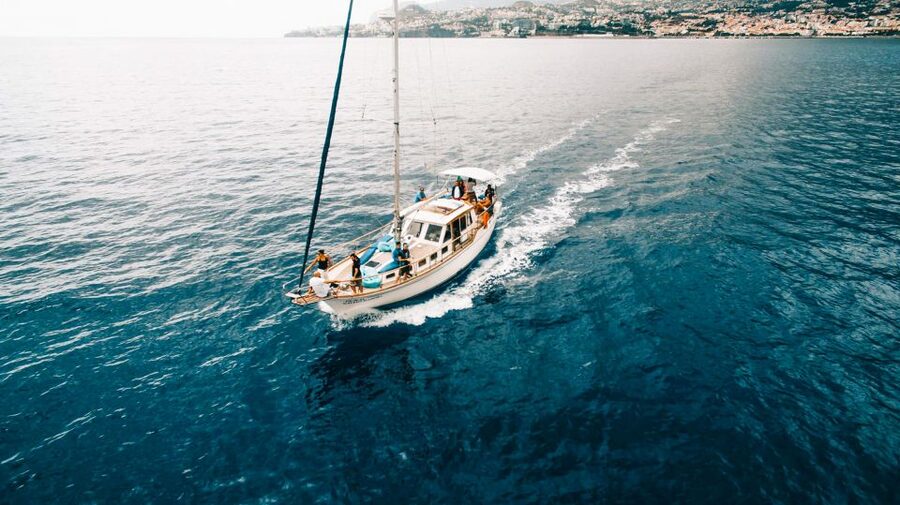 Funchal: Dolphin and Whale Watching Sunset Sailing Tour - Is $63 a fair price?