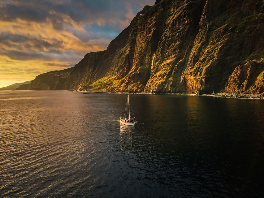 Funchal: Dolphin and Whale Watching Sunset Sailing Tour - Book it for the whole evening, not just the animals