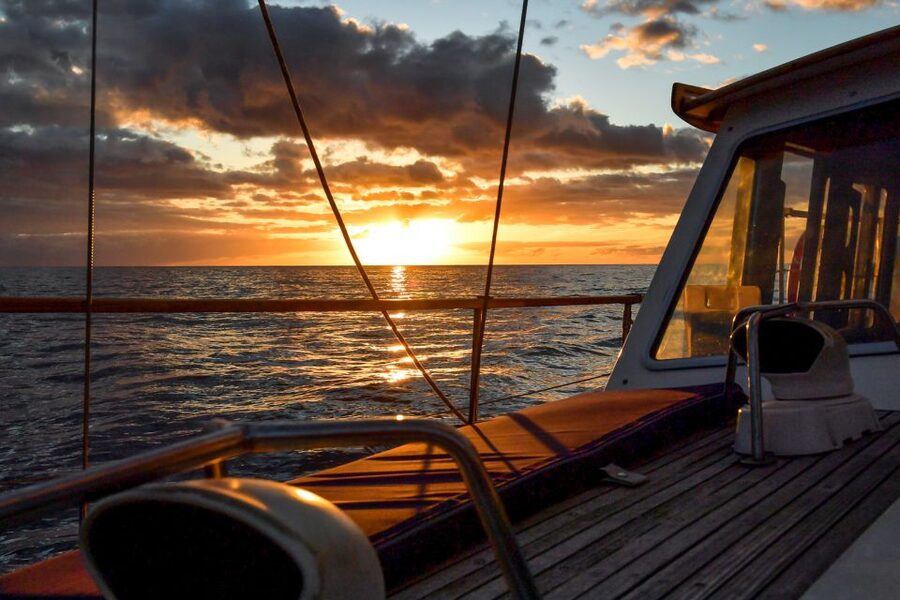Funchal: Dolphin and Whale Watching Sunset Sailing Tour - Sailing west along Madeira’s Atlantic coast