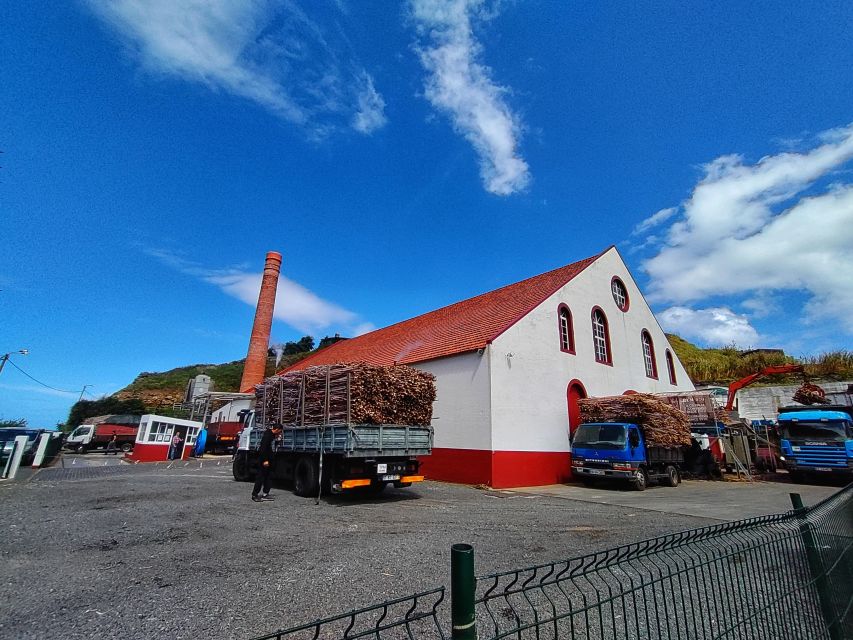 Funchal: East Madeira Island Guided Tour & Laurissilva Walk - Lunch, walking, and the day’s real pace