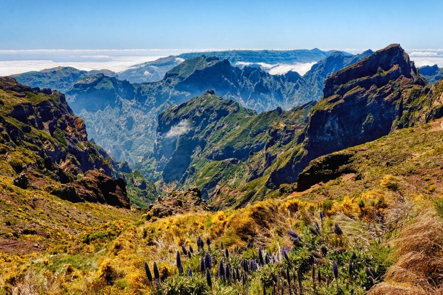 Funchal: East Madeira Island Guided Tour & Laurissilva Walk - Ribeiro Frio brings forest, trout, and the levada walk