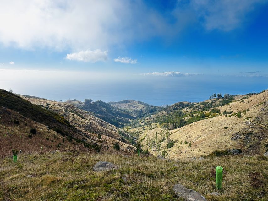 Funchal: East Madeira Island Guided Tour & Laurissilva Walk - Porto da Cruz connects scenery with sugarcane