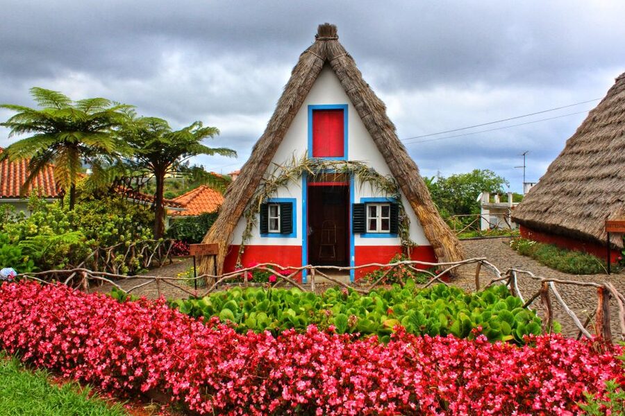 Funchal: East Madeira Island Guided Tour & Laurissilva Walk - Ponta do Rosto finishes with Madeira’s widest views