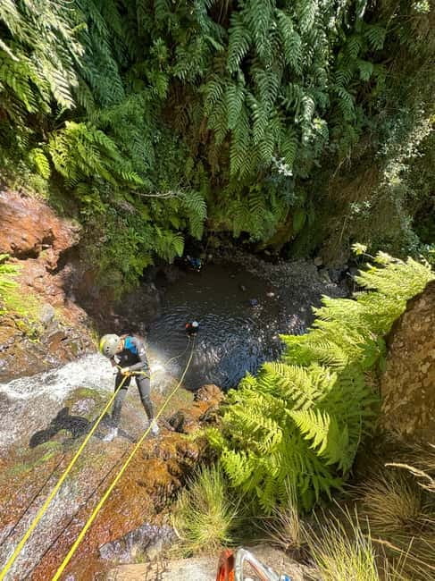 Funchal: Explore Canyoning Level 1 Rochão - Key points at a glance