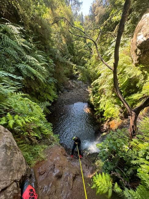 Funchal: Explore Canyoning Level 1 Rochão - Optional jumps and natural slides