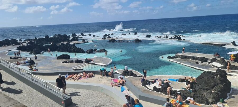 Funchal: Family Madeira Island Tour - Taking breaks for tea, lunch, and poncha