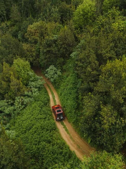 Funchal: Full-day Off-road Tour in West Madeira with Pickup - Fanal Forest in the island’s mist belt