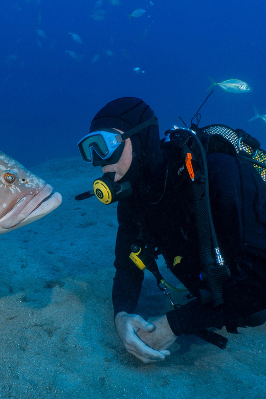Funchal: Garajau national park - certified divers - The boat ride to Praia do Garajau