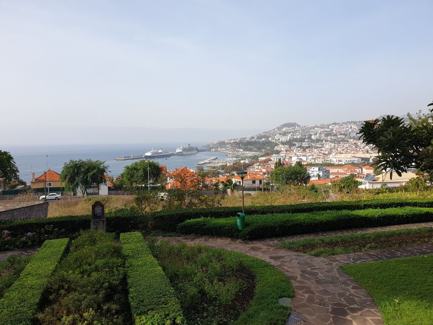 Funchal: Guided City Tuk-Tuk Tour - Who should book this tuk-tuk tour?