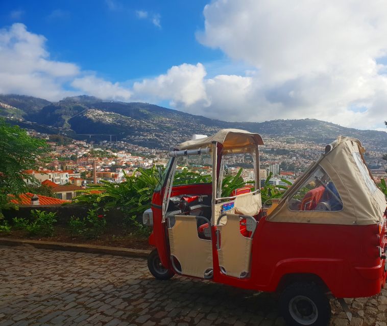 Funchal: Guided City Tuk-Tuk Tour - Price, pickup, and practical value