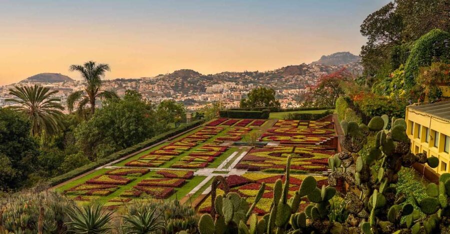 Funchal: Guided Old Town Tuk Tuk Tour and Botanical Gardens - Why a tuk tuk works so well in hilly Funchal