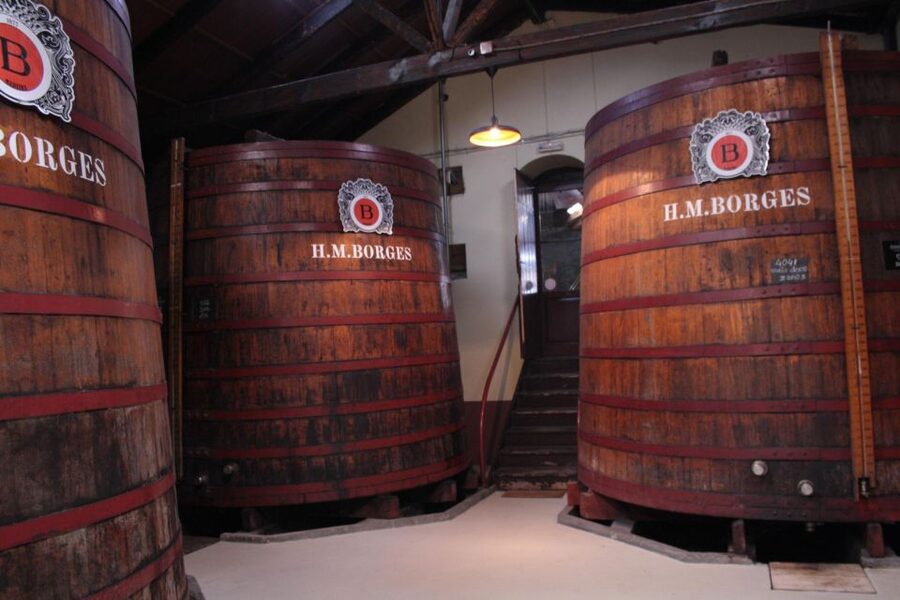 Funchal: H.M. Borges Winery Guided Tour with Wine Tasting - Understanding a wine style that is not for everyone