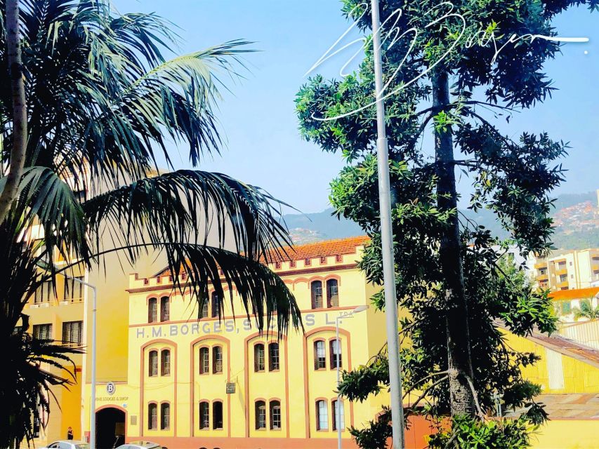Funchal: H.M. Borges Winery Guided Tour with Wine Tasting - Practical timing and booking advice