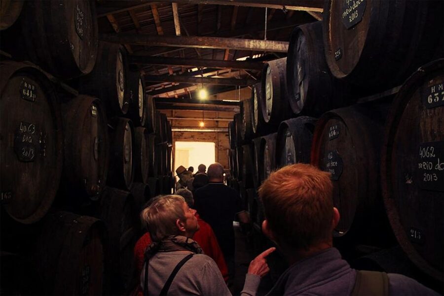 Funchal: H.M. Borges Winery Guided Tour with Wine Tasting - The tasting room and Max Römer’s artwork