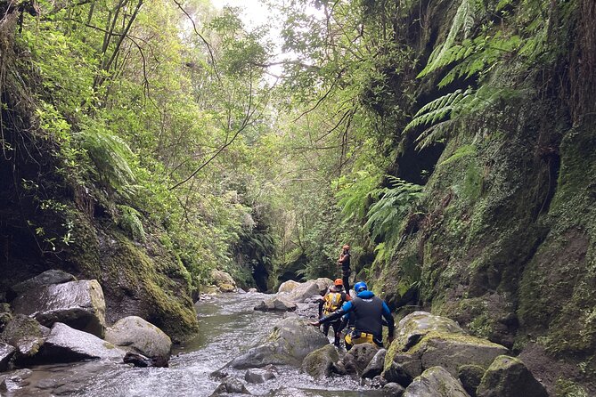 Funchal: Half-day Beginners Canyoning - Meeting at Lokoloko and Hotel Galosol at 8:30 am
