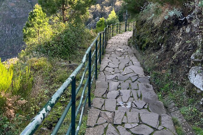 Funchal highlights 5h Private Tour in Madeira - What your guide adds to the drive