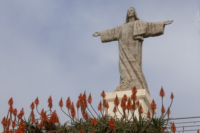 Funchal highlights 5h Private Tour in Madeira - Pico dos Barcelos and Funchal from above