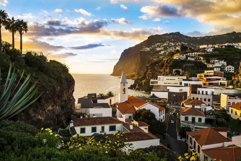 Funchal:Hop-on Hop-off Bus & Whale & Dolphin boat Excursion - Practical booking advice for the $54 price