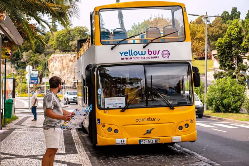 Funchal:Hop-on Hop-off Bus & Whale & Dolphin boat Excursion - Why the land and sea combination works