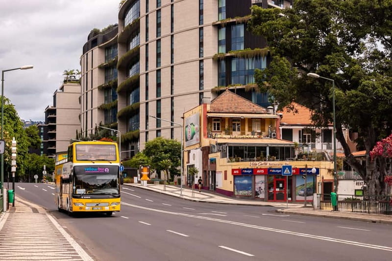 Funchal:Hop-on Hop-off Bus & Whale & Dolphin boat Excursion - The Fajã do Cabo Girão swimming stop