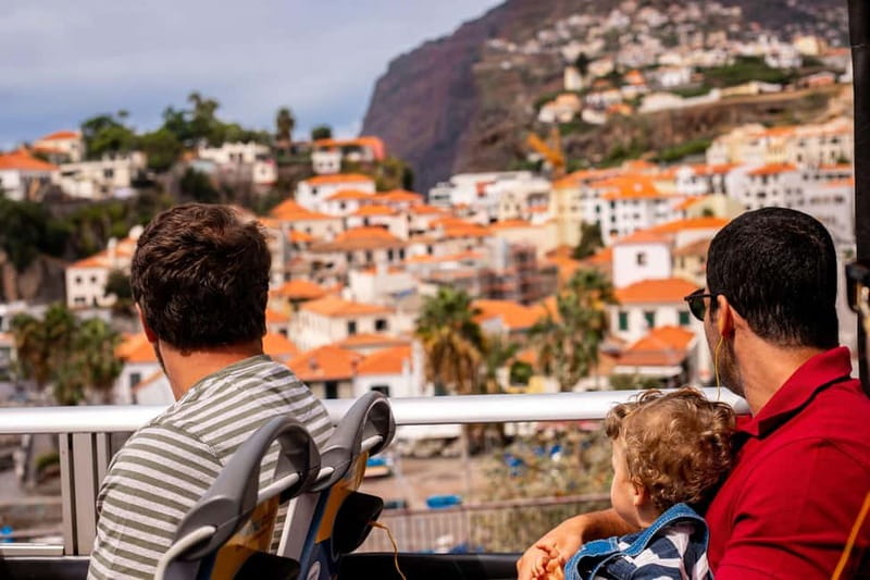 Funchal:Hop-on Hop-off Bus & Whale & Dolphin boat Excursion - Start at Avenida do Mar, not at the boat