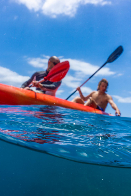 Funchal: KAYAK Rental or Guided tour with snorkeling - Choosing the rental option at your own pace