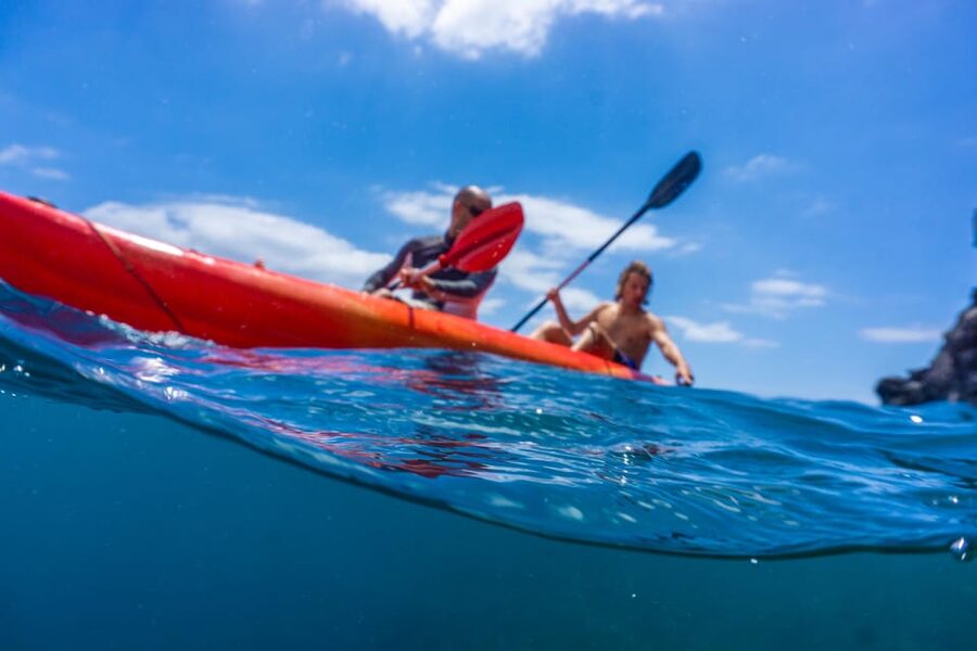 Funchal: KAYAK Rental or Guided tour with snorkeling - Meeting inside the Pestana Carlton