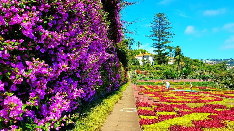 Funchal: Madeira Botanical Garden Private Tuk-Tuk Tour - Key points to know before booking