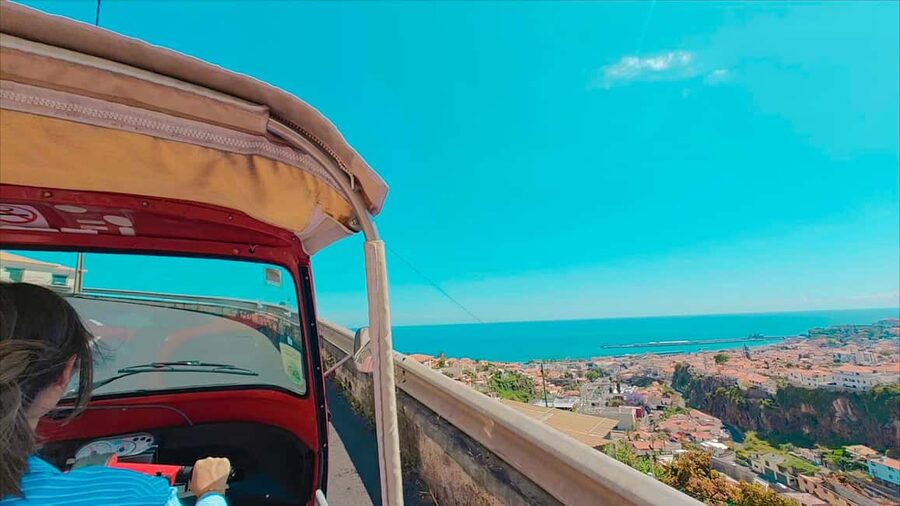 Funchal: Madeira Botanical Garden Private Tuk-Tuk Tour - The natural history museum adds context