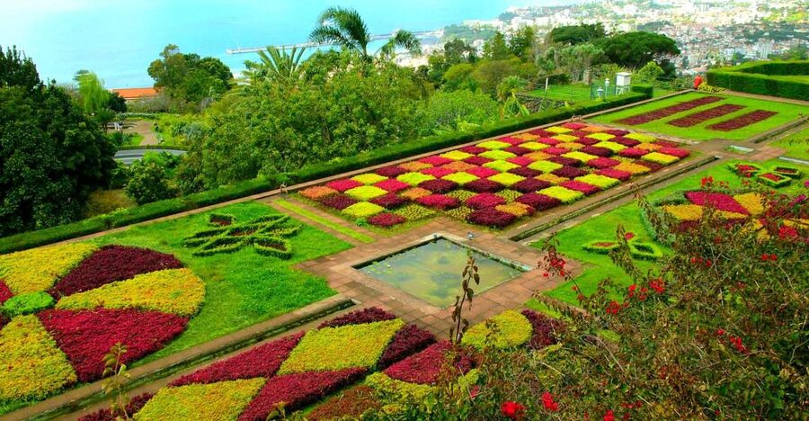 Funchal: Madeira Botanical Garden Private Tuk-Tuk Tour - Views, photos, and the pace of the outing