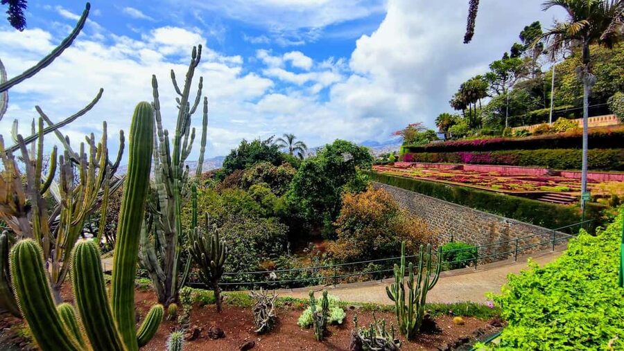 Funchal: Madeira Botanical Garden Private Tuk-Tuk Tour - Is $40 per person good value?