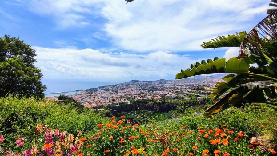 Funchal: Madeira Botanical Garden Private Tuk-Tuk Tour - My verdict on the Madeira Botanical Garden tuk-tuk tour