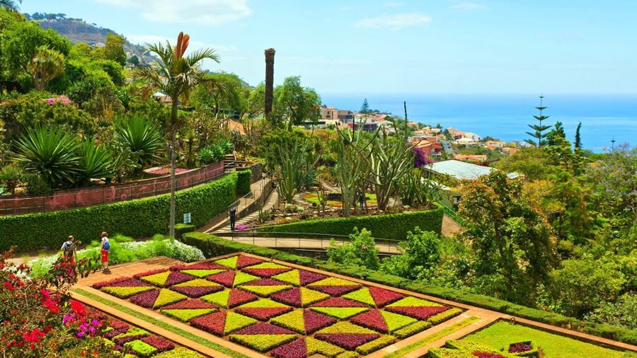 Funchal: Madeira Botanical Garden Private Tuk-Tuk Tour - Hotel pickup and the climb above Funchal