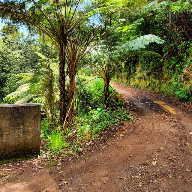 Funchal: Madeira Island 4x4 Private Customizable Tour - Key points to know before booking