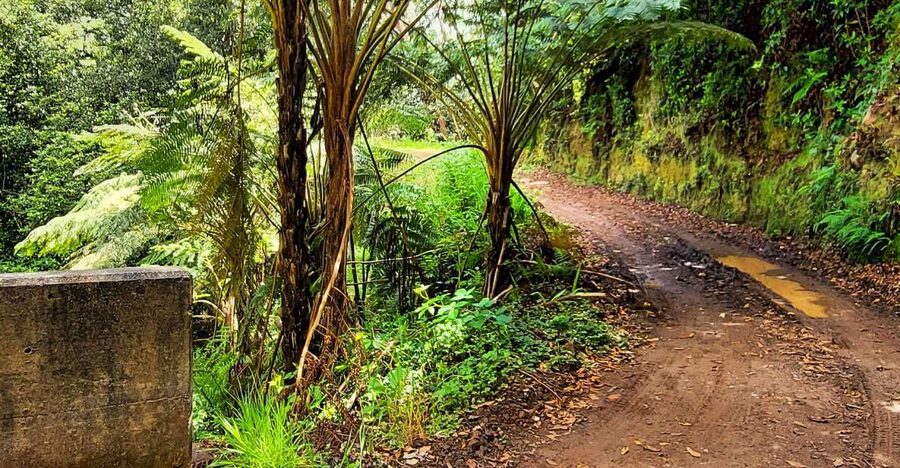 Funchal: Madeira Island 4x4 Private Customizable Tour - Sea cliffs, waterfalls, and changing weather