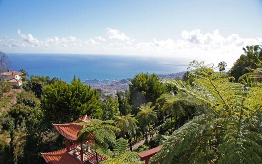 Funchal: Monte Palace Tropical Gardens Tuk Tuk Tour - Why the tuk tuk ride is worth choosing