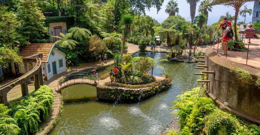 Funchal: Monte Palace Tropical Gardens Tuk Tuk Tour - Viewpoints, old streets, and the climb to Monte