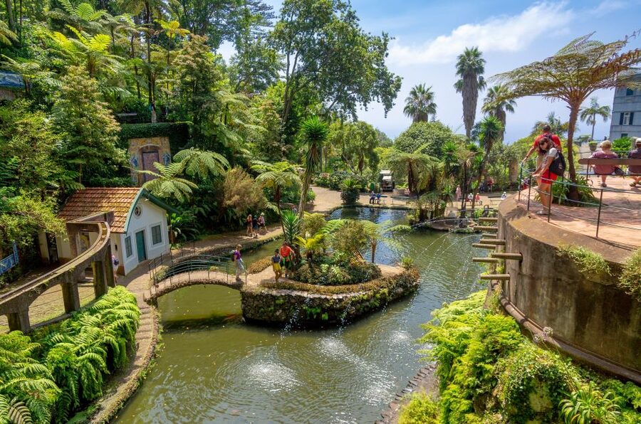 Funchal: Monte Palace Tropical Gardens Tuk Tuk Tour - Starting in central Funchal