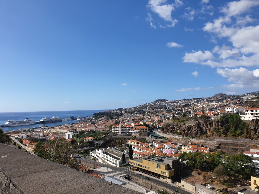 Funchal: Monte Toboggan and Old Town Tour by Tuk-Tuk - What the basket-cart descent feels like