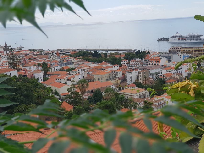 Funchal: Monte Toboggan and Old Town Tour by Tuk-Tuk - The guides are a major part of the value