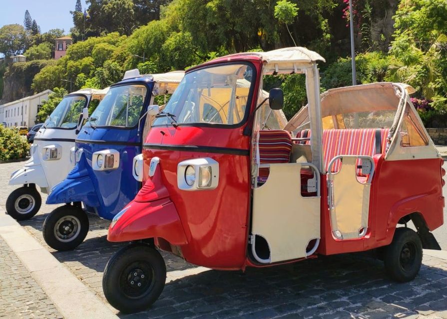 Funchal: Monte Toboggan and Old Town Tour by Tuk-Tuk - What happens if the cart ride is closed