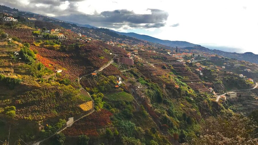 Funchal: Northern Levada Walking Tour - Should you book the Northern Levada Walking Tour?