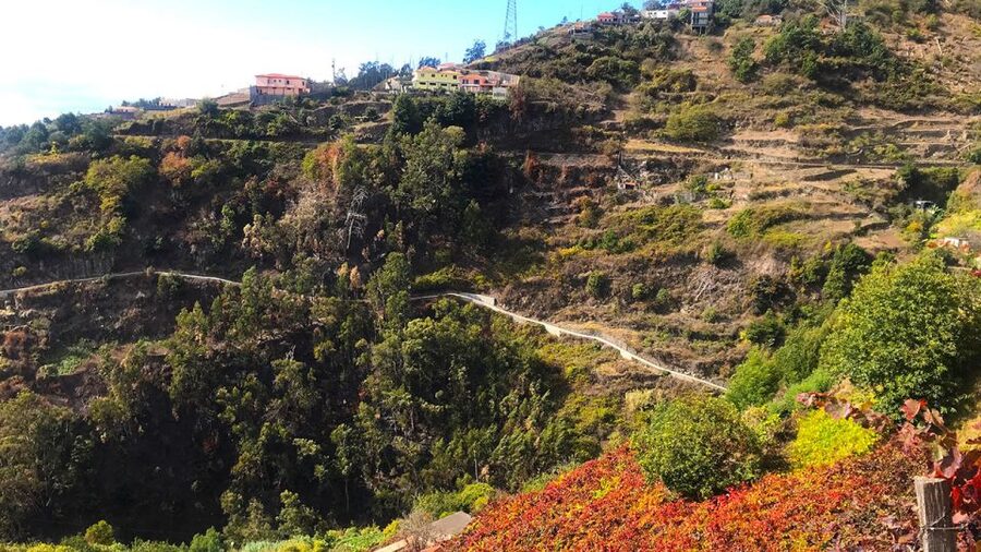 Funchal: Northern Levada Walking Tour - What the 135-minute schedule really means