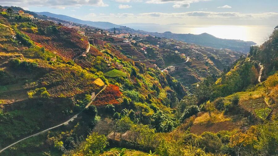 Funchal: Northern Levada Walking Tour - The guide makes the short route count